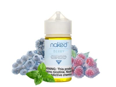 جویس نیکد تمشک بلوبری ذغال اخته نعناع Naked Berry Menthol 60ml